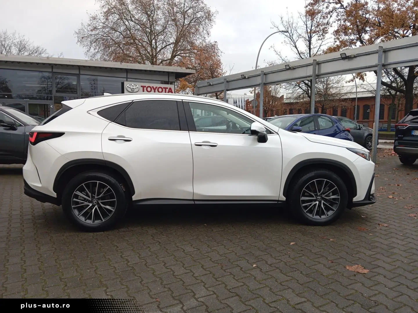 LEXUS NX 350h FWD  Executive Line   Leder   Head-Up-Di