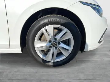 VW Golf VIII Variant  Life  2.0 TDI LED NAVI GRA