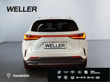 LEXUS NX 450h  E-FOUR Business-Paket  Bi-LED Leder SHZ