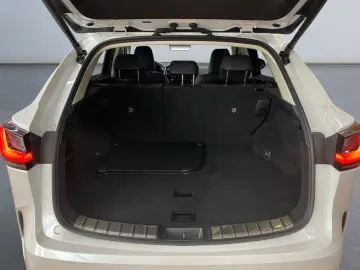 LEXUS NX 450h  E-FOUR Business-Paket  Bi-LED Leder SHZ