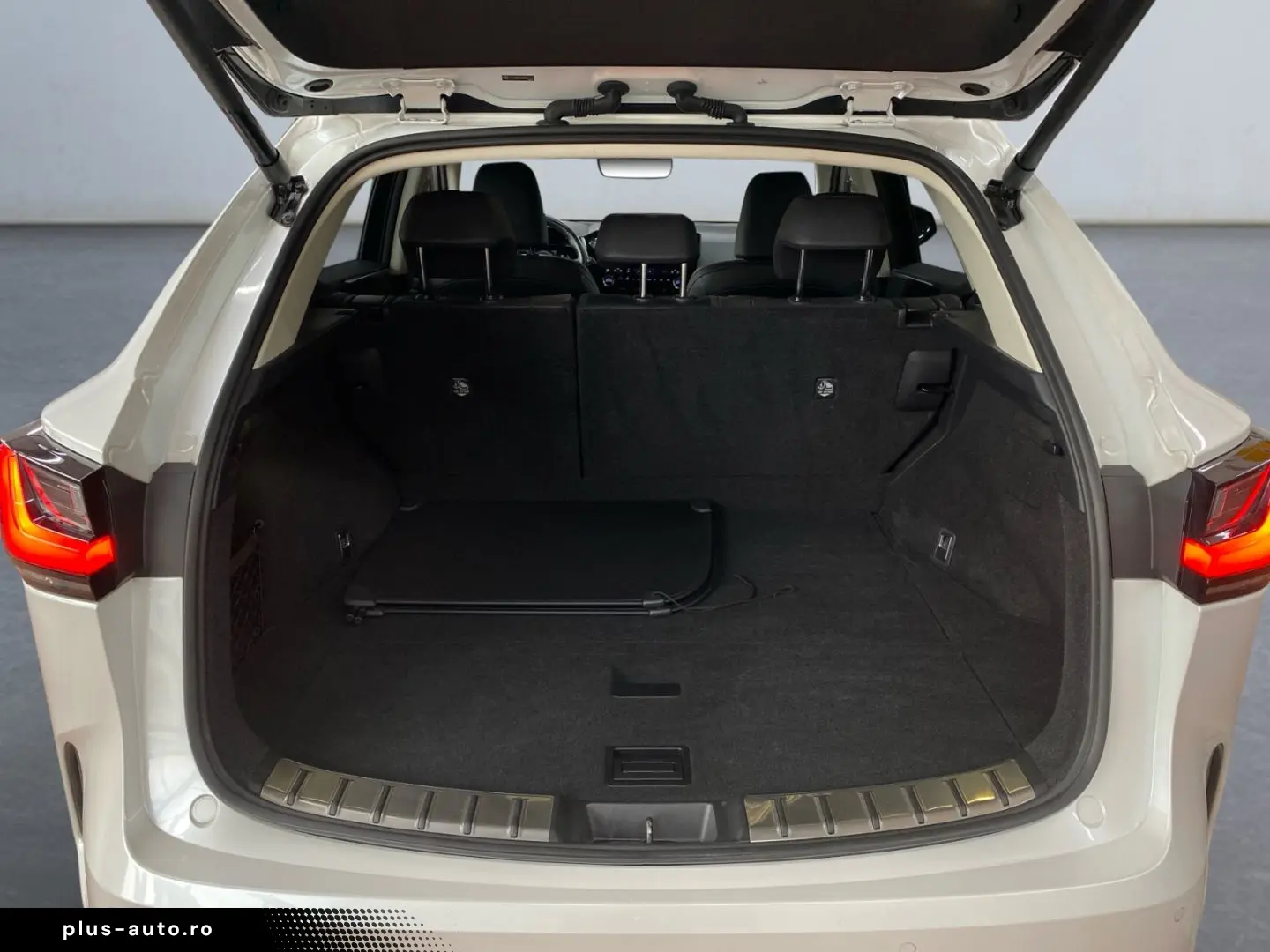 LEXUS NX 450h  E-FOUR Business-Paket  Bi-LED Leder SHZ