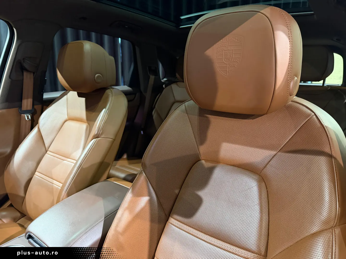 Porsche Cayenne E-Hybrid S Platinum Edition