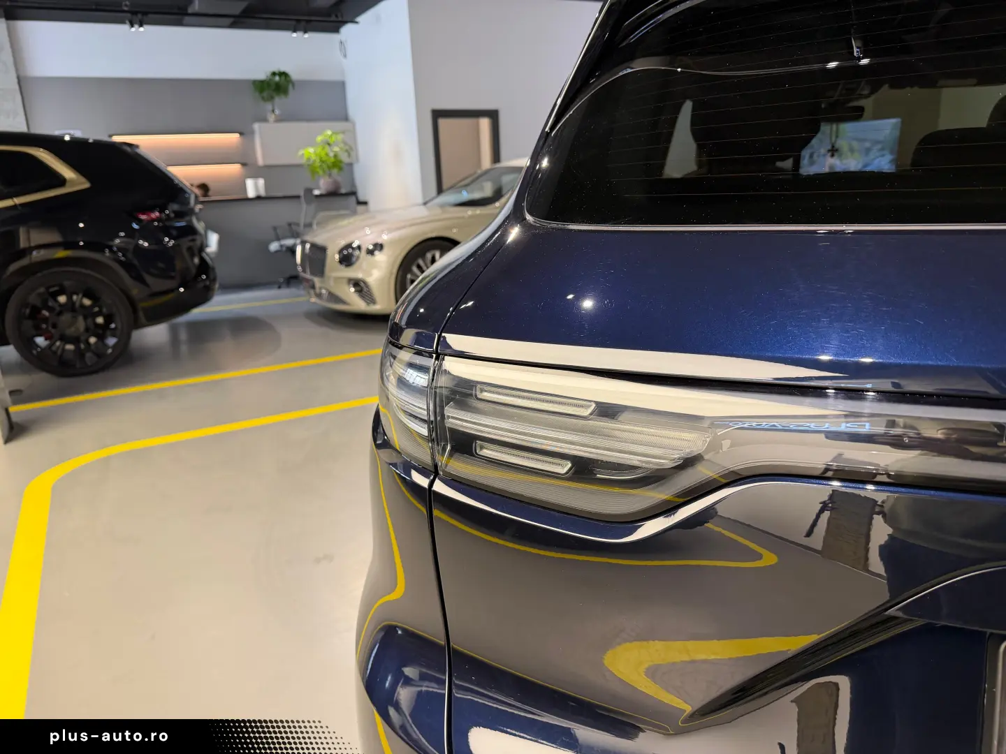 Porsche Cayenne E-Hybrid S Platinum Edition