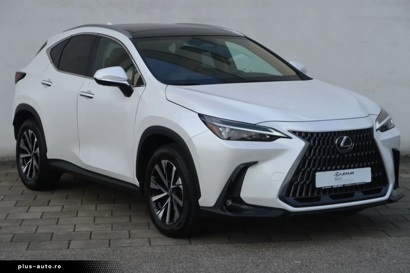 LEXUS NX 350h E-FOUR Executive Line Technologie Interi