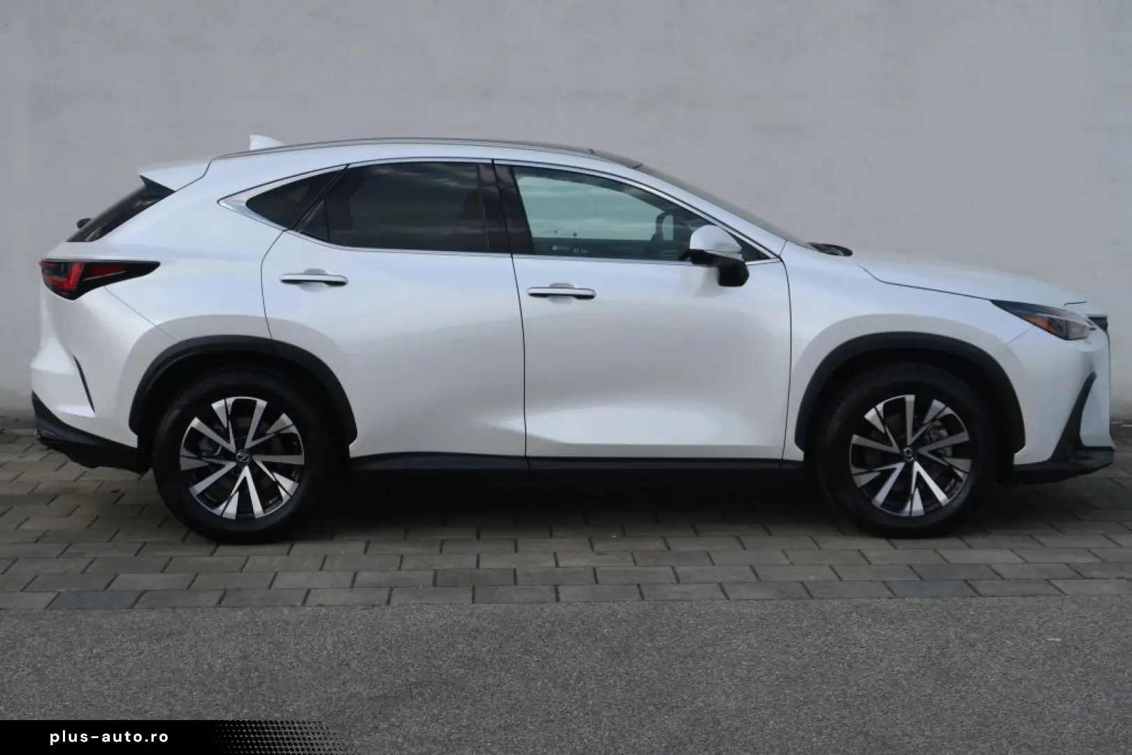 LEXUS NX 350h E-FOUR Executive Line Technologie Interi