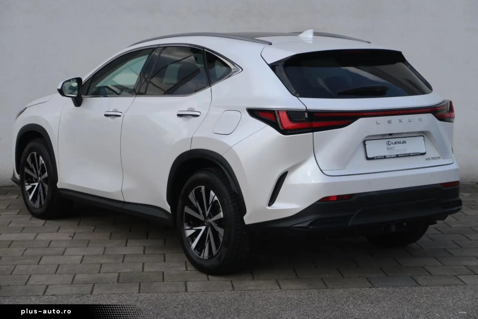 LEXUS NX 350h E-FOUR Executive Line Technologie Interi
