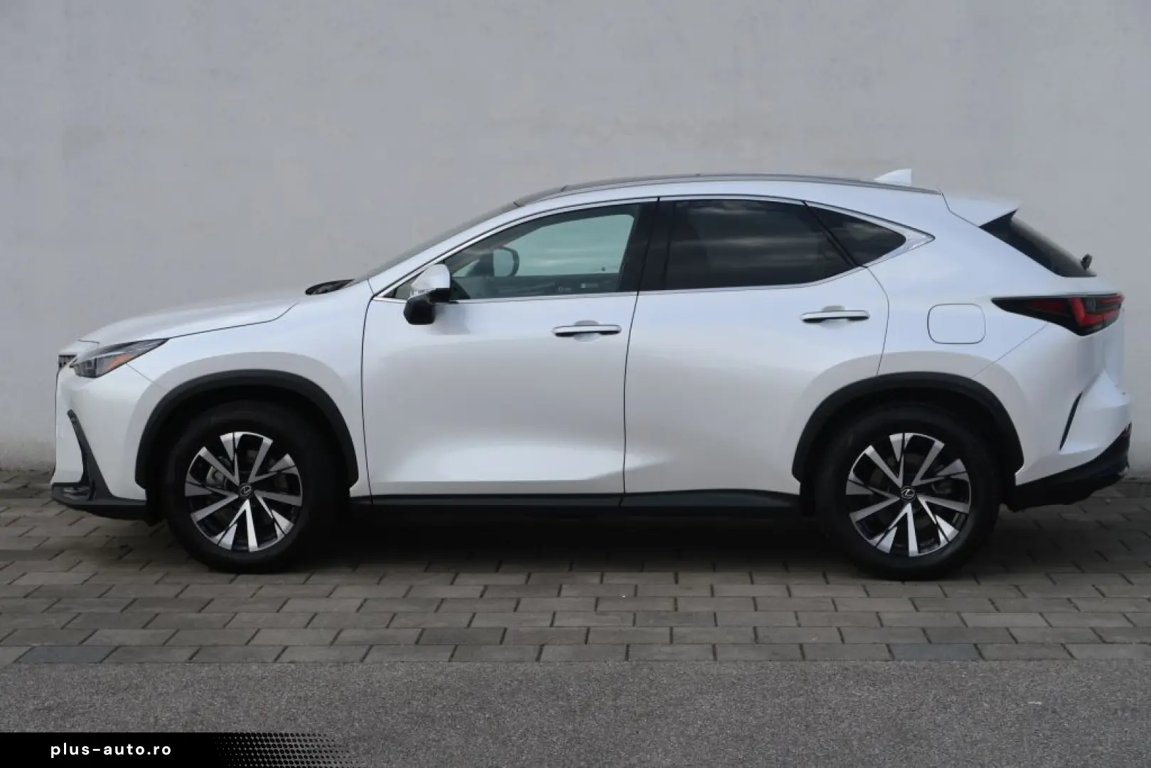LEXUS NX 350h E-FOUR Executive Line Technologie Interi