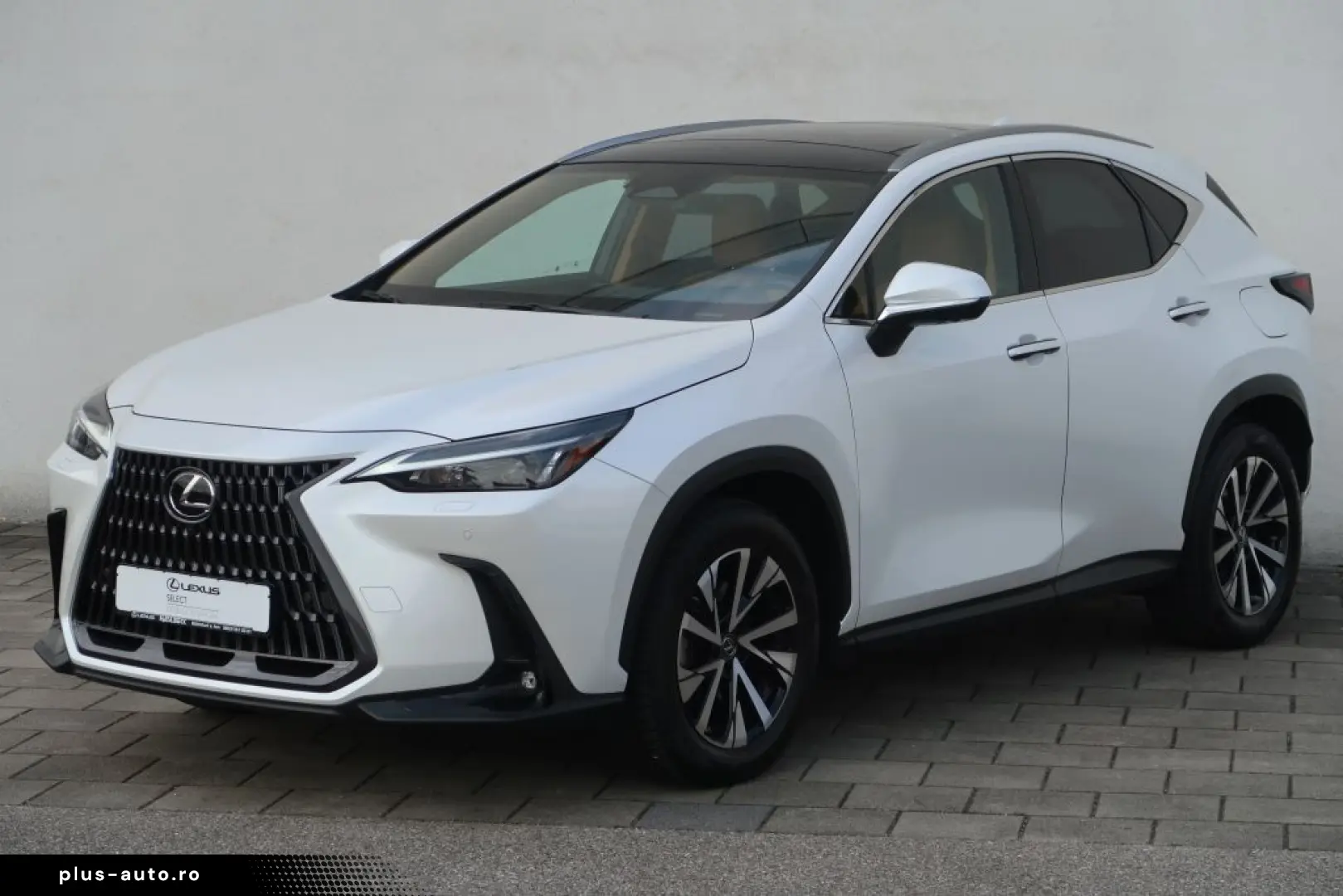 LEXUS NX 350h E-FOUR Executive Line Technologie Interi