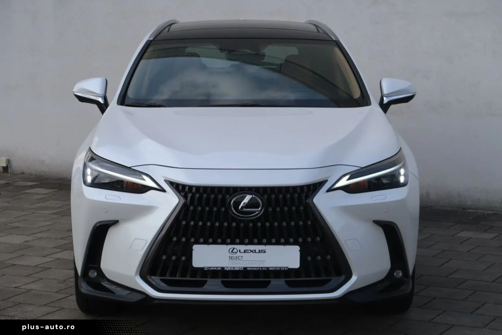 LEXUS NX 350h E-FOUR Executive Line Technologie Interi