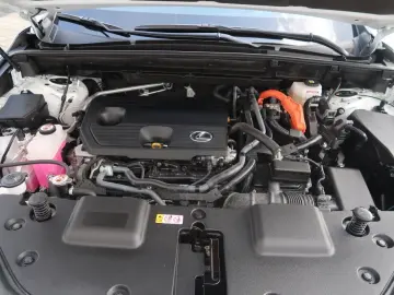 LEXUS NX 350h E-FOUR Executive Line Technologie Interi