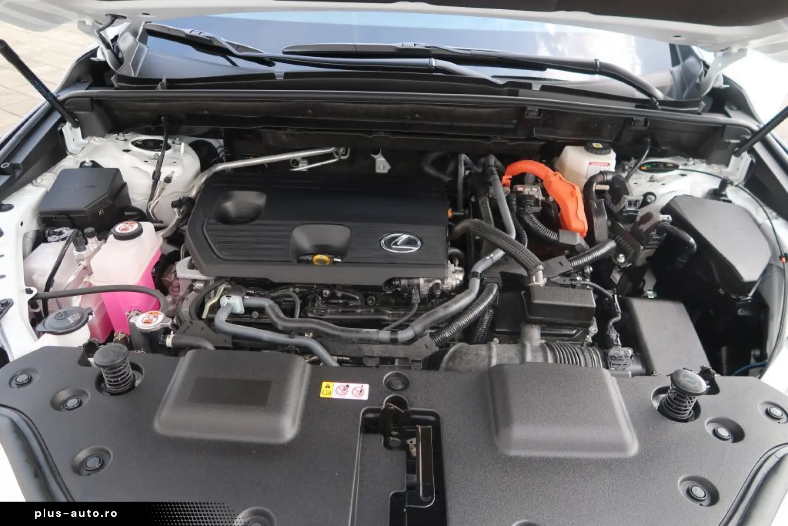 LEXUS NX 350h E-FOUR Executive Line Technologie Interi