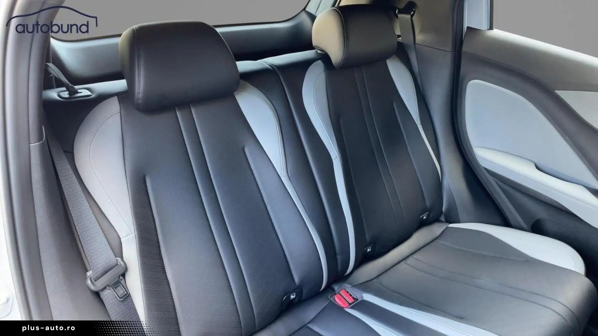 BYD Dolphin Surf Sofort Lieferbar Boost Alu Link NAV