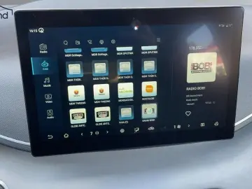 BYD Dolphin Surf Sofort Lieferbar Boost Alu Link NAV