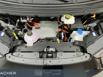 BYD Dolphin Surf Comfort Autom