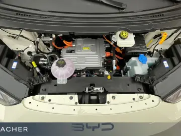 BYD Dolphin Surf Comfort Autom