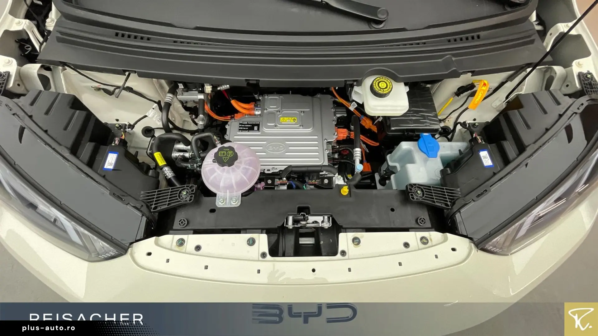 BYD Dolphin Surf Comfort Autom