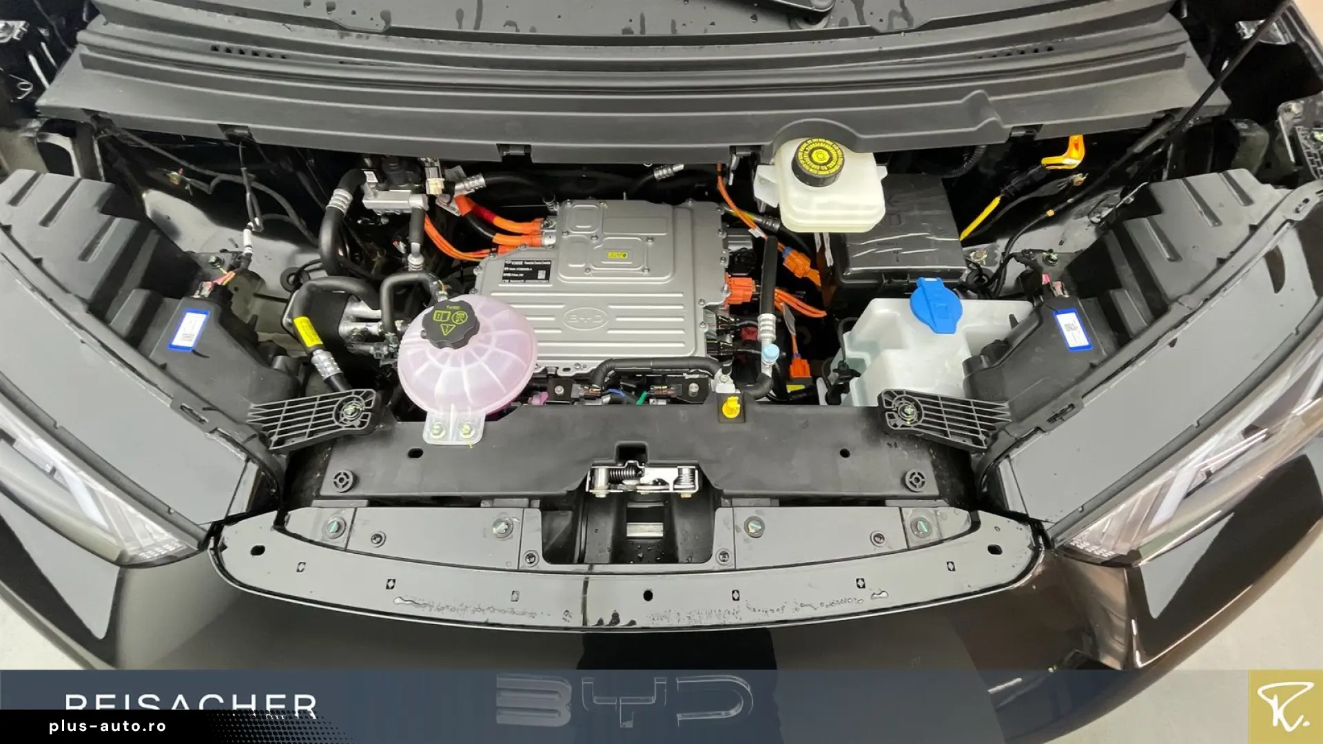 BYD Dolphin Surf Comfort Autom