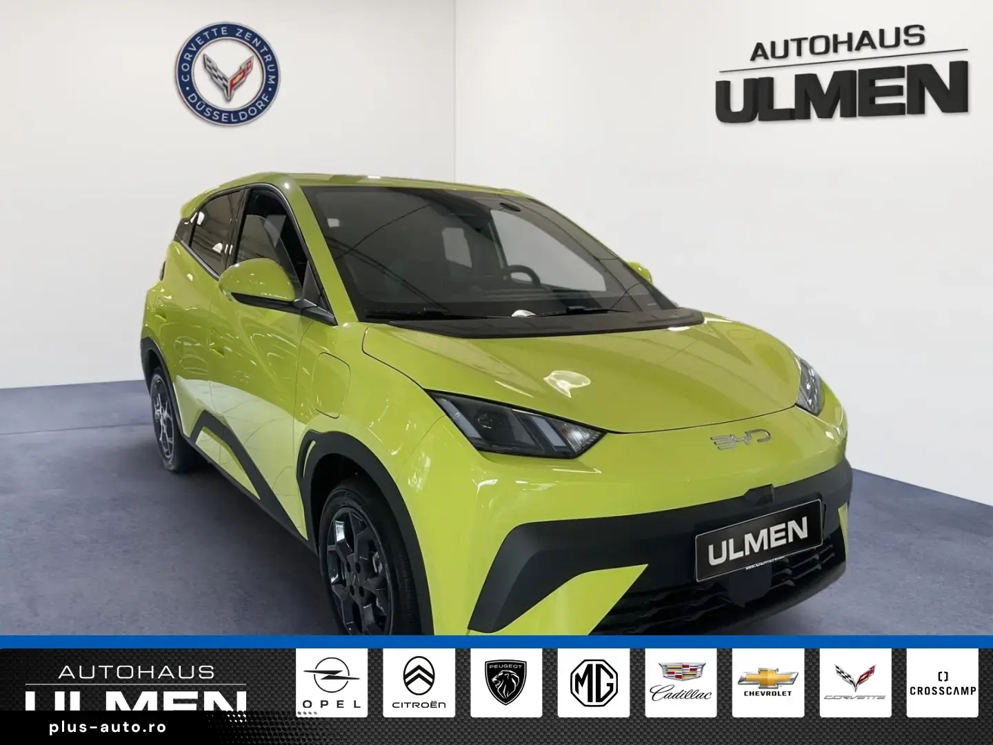 BYD Dolphin Surf 115KW Comfort Leather Navi Seat Heating