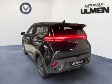 BYD Dolphin Surf 115KW Comfort Leather Navi Seat Heating