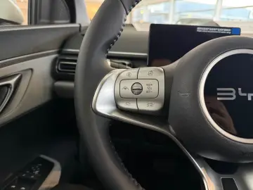 BYD Dolphin Surf Comfort  Navi  Camera