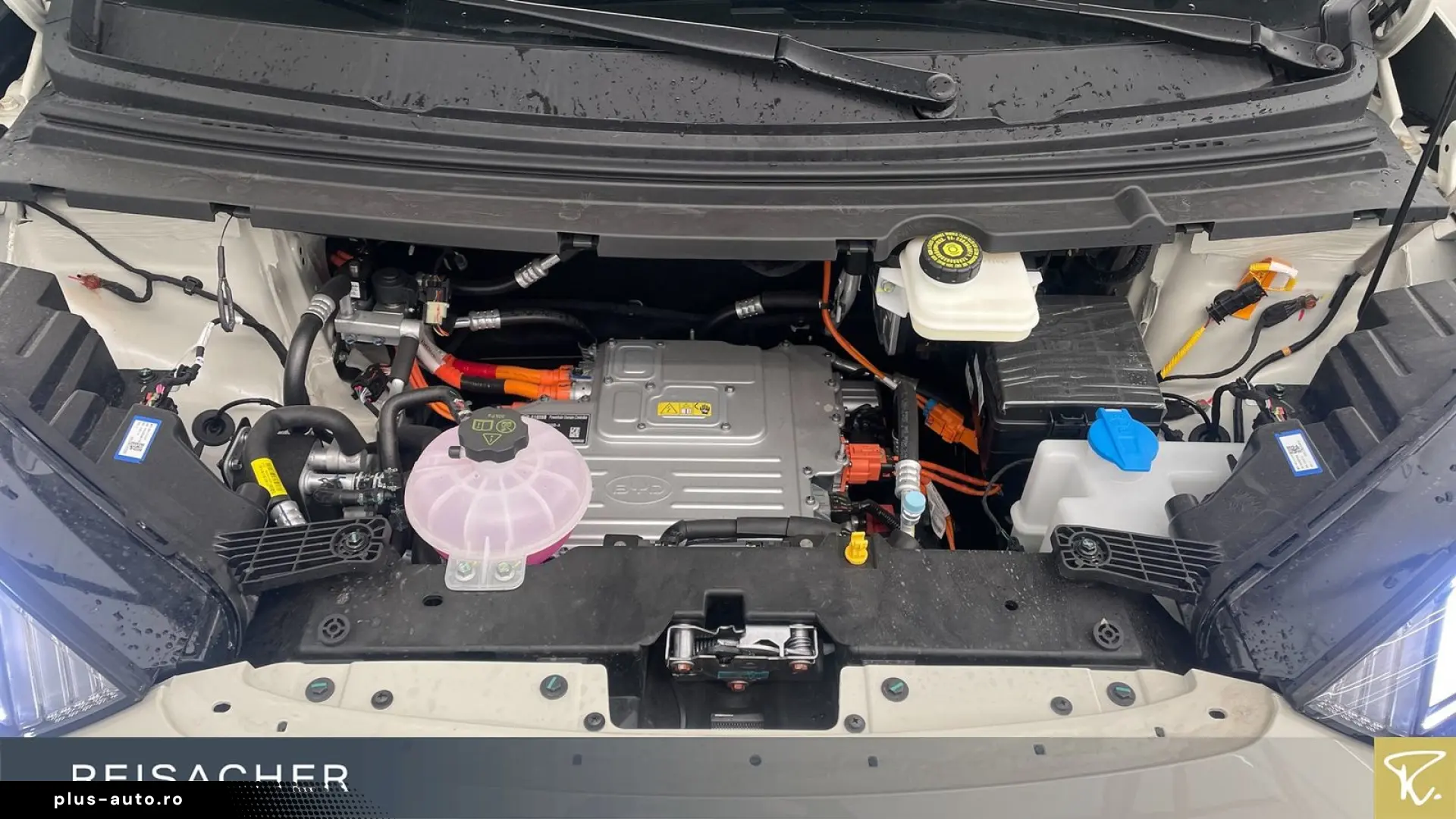 BYD Dolphin Surf Comfort Pano Autom