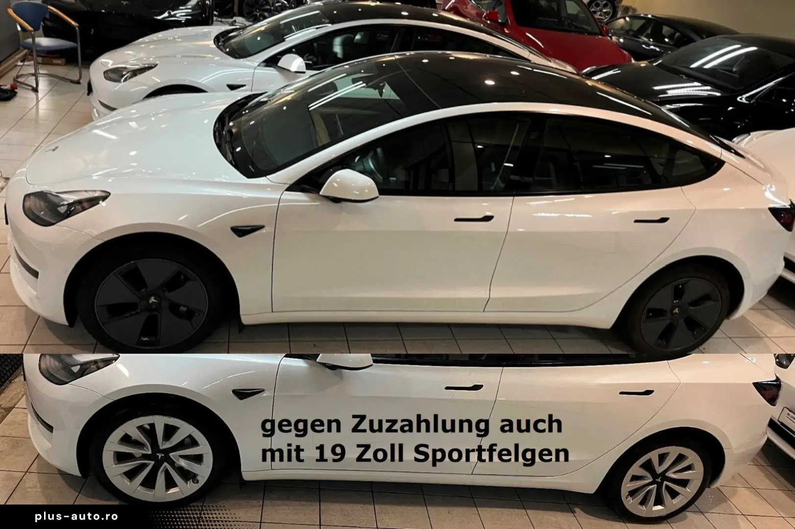 TESLA Model 3 ohne Nachlackierung  kaufe auch Tesla an