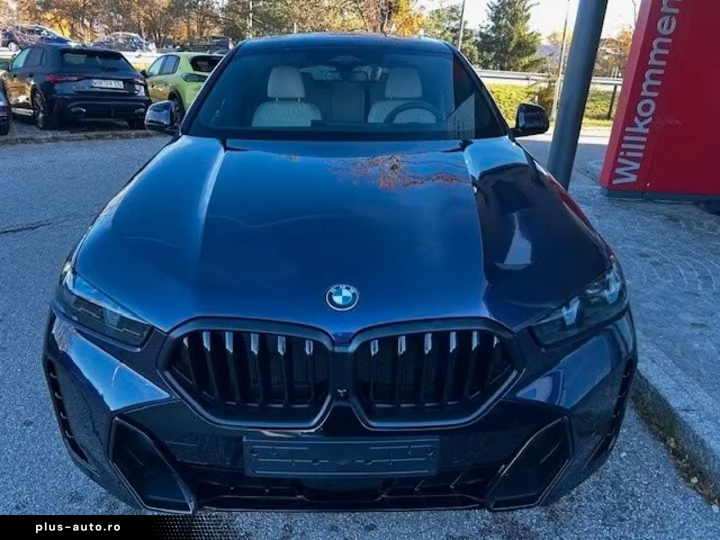 BMW X6 xDrive30d Carbon B&W 22  Iconic
