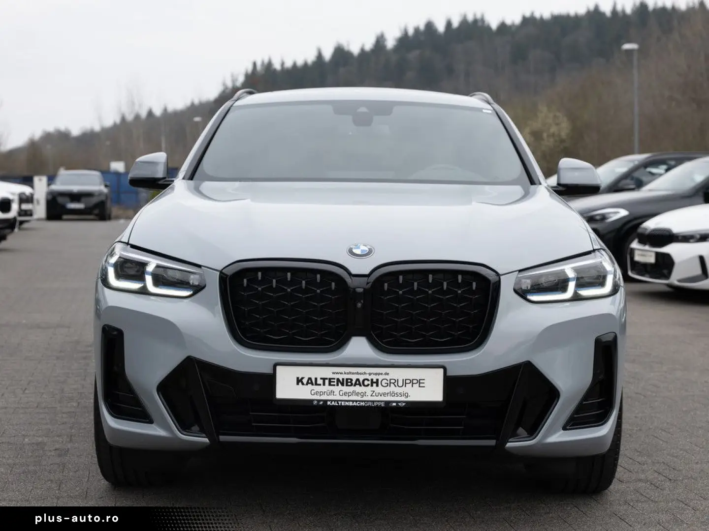 BMW X4 xDrive 30d M-Sport FACEL. PANO AHK HUD 360