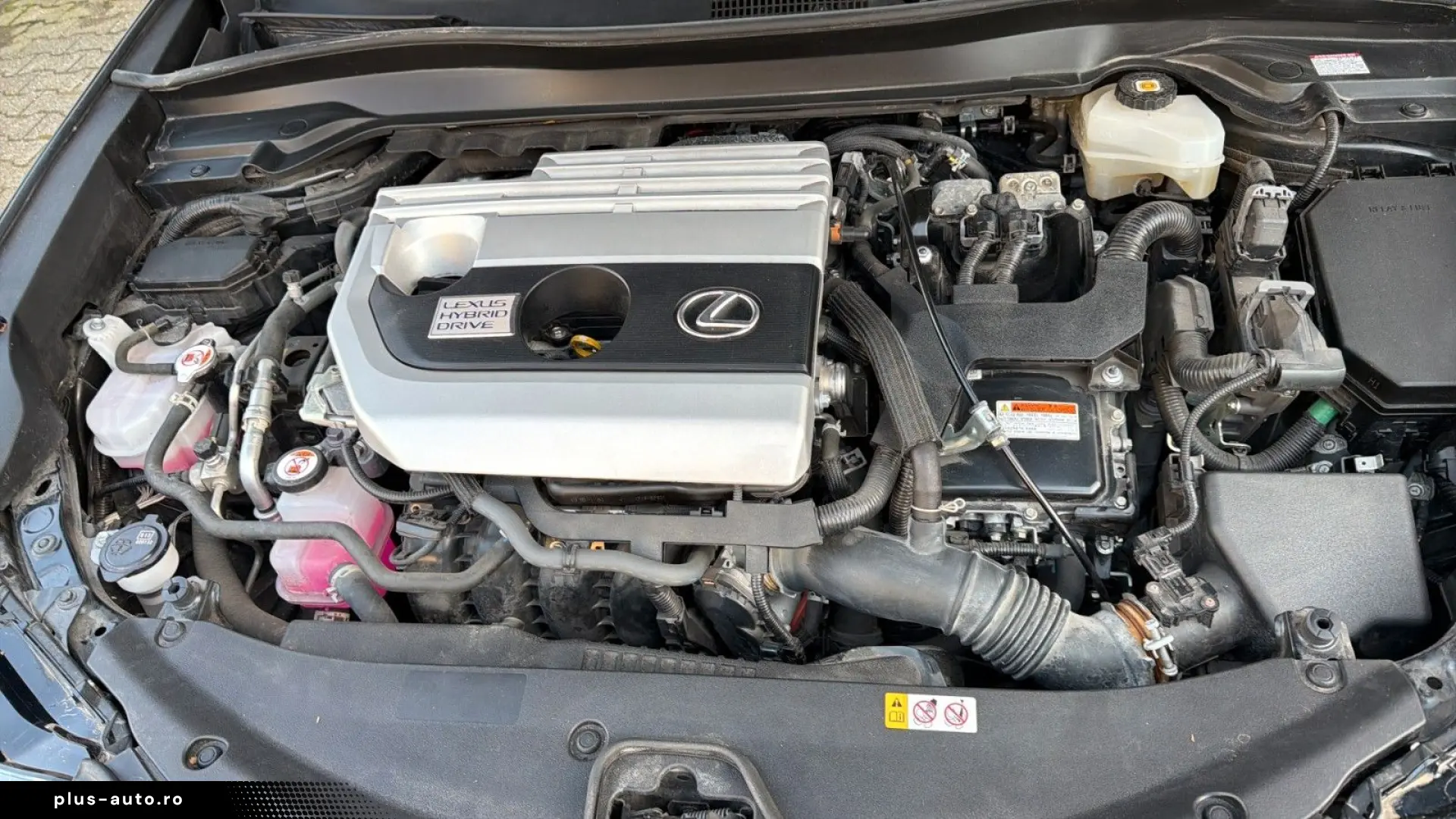 LEXUS UX 250h Executive Line