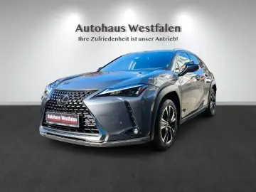 LEXUS UX 250 h Navi Kamera LED 1.Hand Top