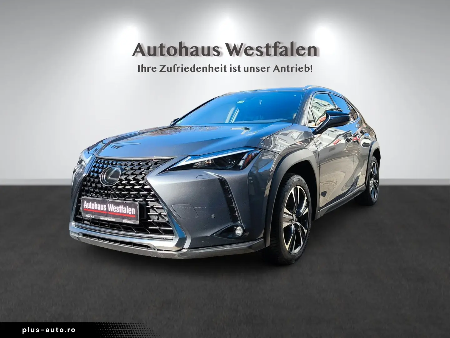 LEXUS UX 250 h Navi Kamera LED 1.Hand Top
