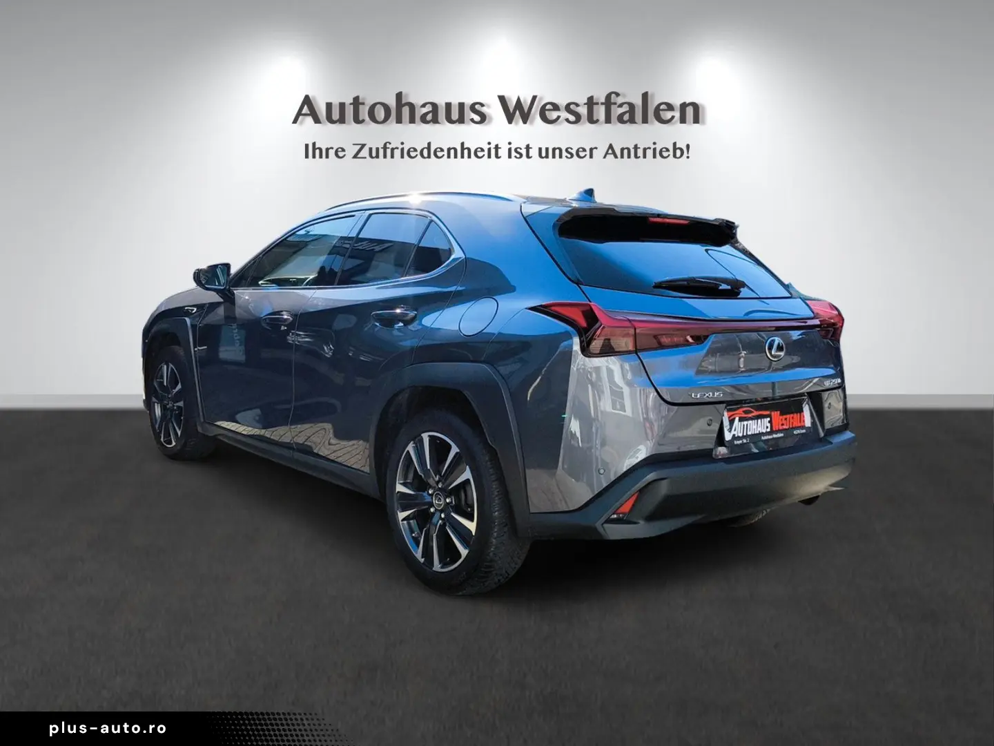 LEXUS UX 250 h Navi Kamera LED 1.Hand Top