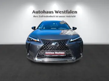 LEXUS UX 250 h Navi Kamera LED 1.Hand Top