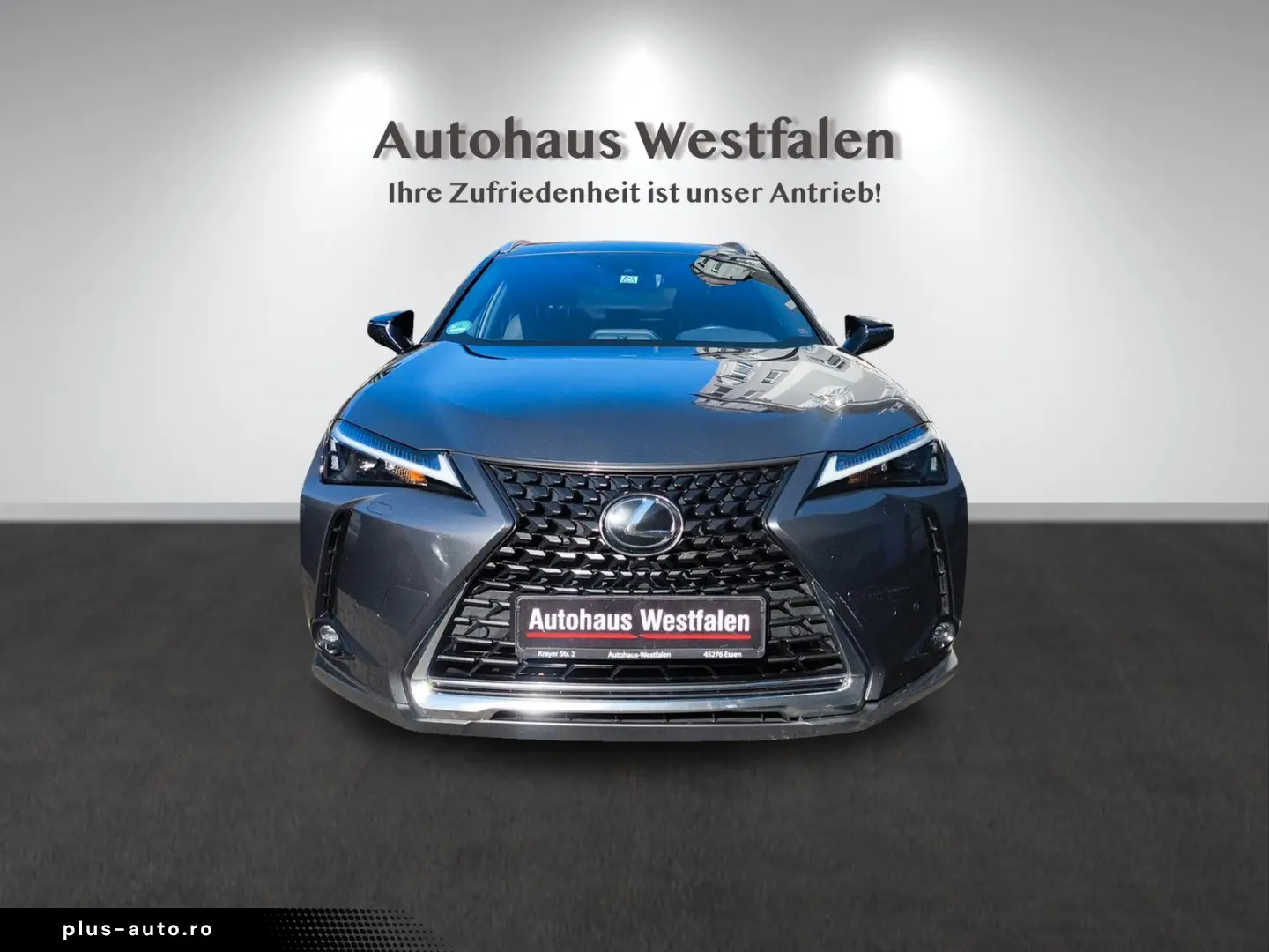 LEXUS UX 250 h Navi Kamera LED 1.Hand Top