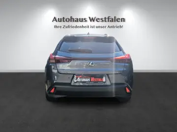 LEXUS UX 250 h Navi Kamera LED 1.Hand Top