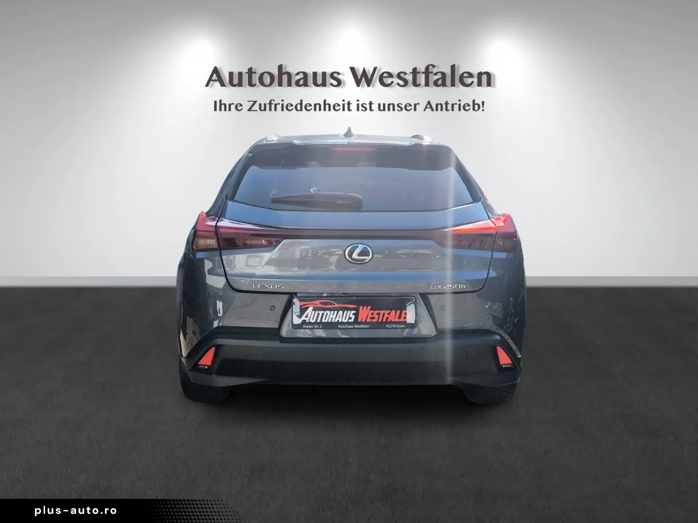 LEXUS UX 250 h Navi Kamera LED 1.Hand Top