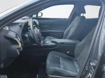 LEXUS UX 250 h Navi Kamera LED 1.Hand Top