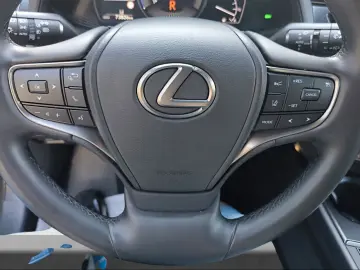 LEXUS UX 250 h Navi Kamera LED 1.Hand Top