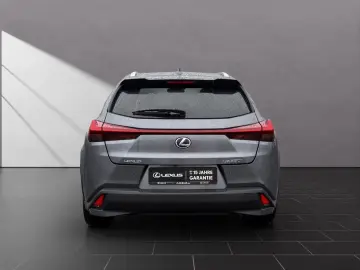 LEXUS UX 250 h STYLE CARPLAY PDC 15 JAHRE GARANTIE