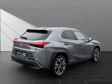 LEXUS UX 250 h STYLE CARPLAY PDC 15 JAHRE GARANTIE