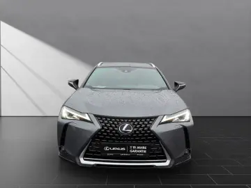LEXUS UX 250 h STYLE CARPLAY PDC 15 JAHRE GARANTIE