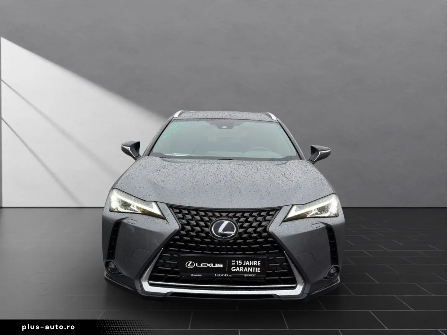 LEXUS UX 250 h STYLE CARPLAY PDC 15 JAHRE GARANTIE