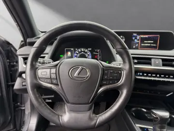 LEXUS UX 250 h STYLE CARPLAY PDC 15 JAHRE GARANTIE