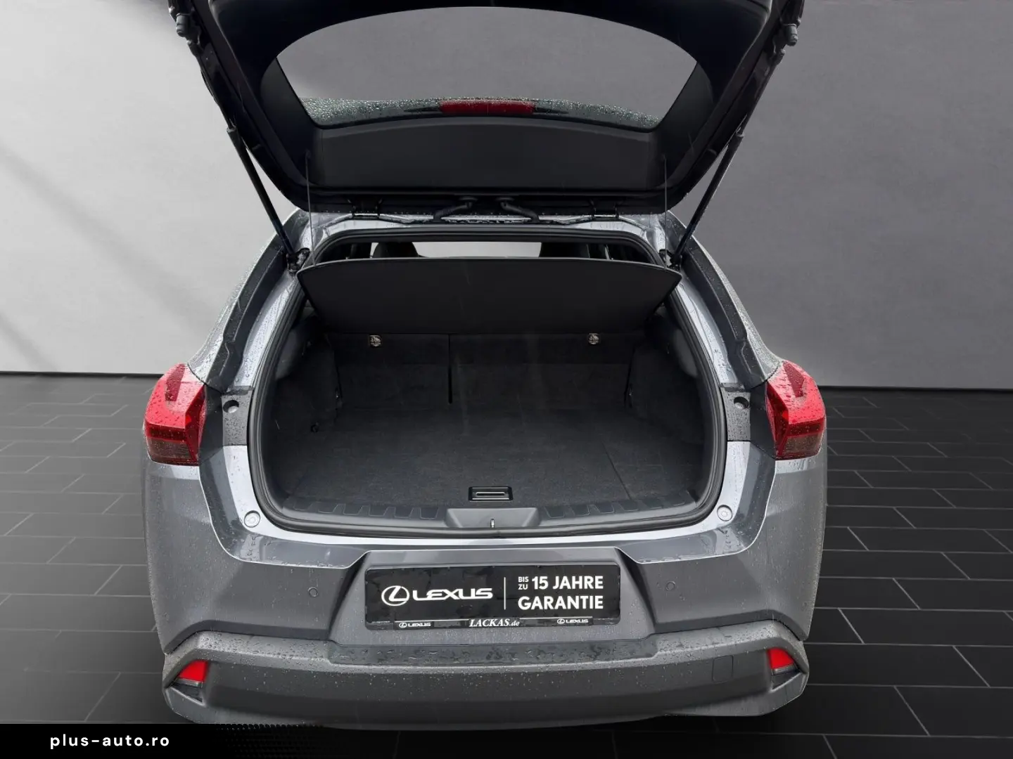 LEXUS UX 250 h STYLE CARPLAY PDC 15 JAHRE GARANTIE