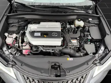 LEXUS UX 250 h STYLE CARPLAY PDC 15 JAHRE GARANTIE