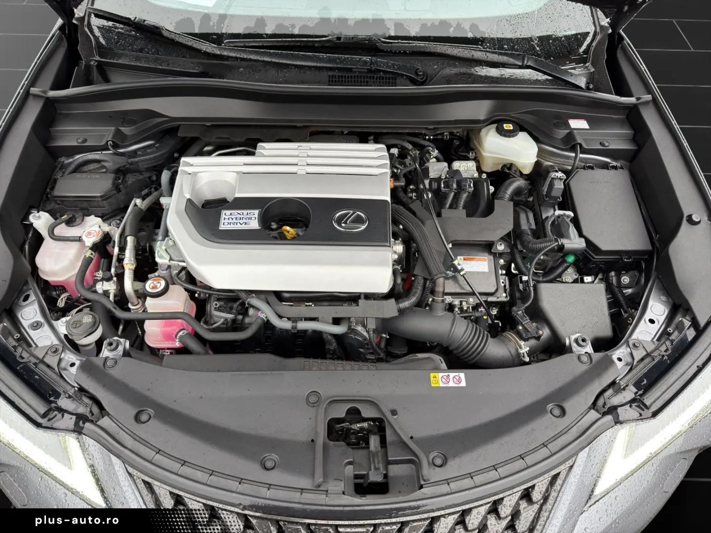 LEXUS UX 250 h STYLE CARPLAY PDC 15 JAHRE GARANTIE