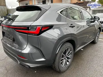 Lexus NX 350h E-Four Business NAVI BI-LED CarPlay