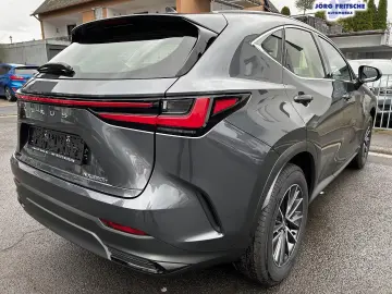 Lexus NX 350h E-Four Business NAVI BI-LED CarPlay