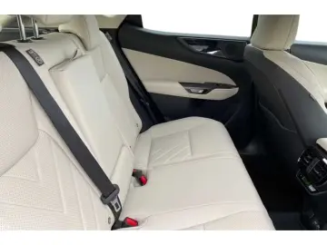 Lexus NX 350h Luxury Line  HUD 360 Navi LED Memory