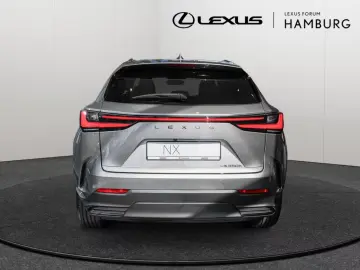 Lexus NX 350h Business Line Plus SITZBELÜFTUNG 360